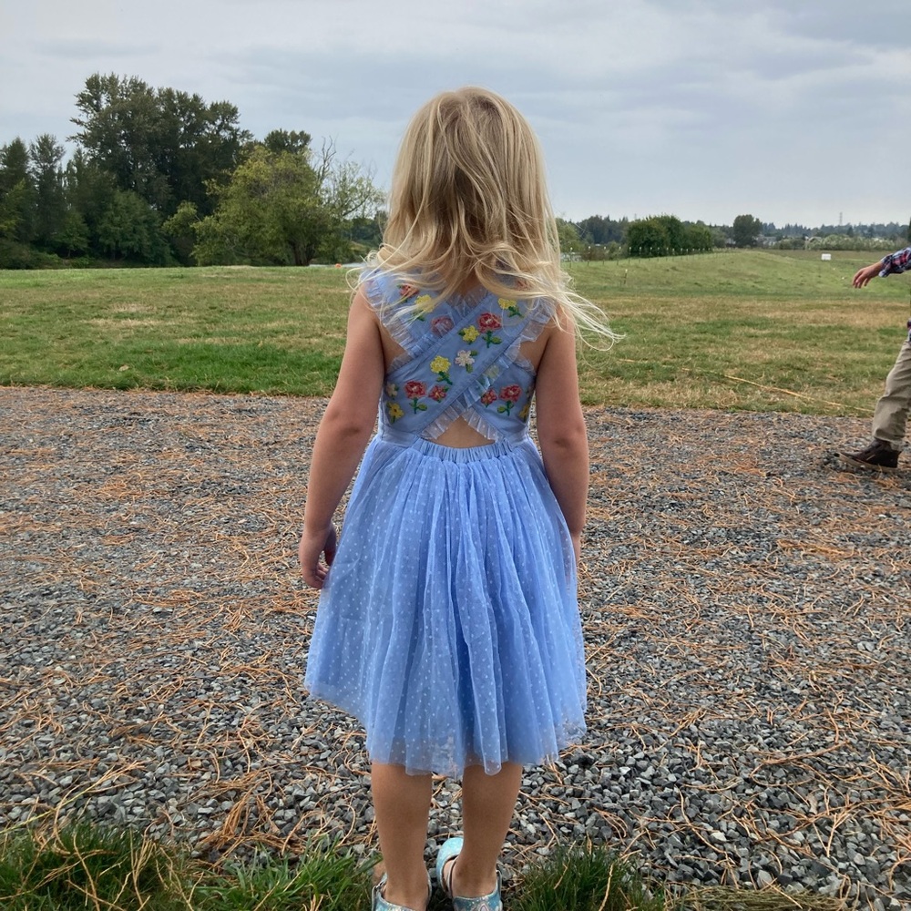 Boden girls dress embroidered cross-back dress